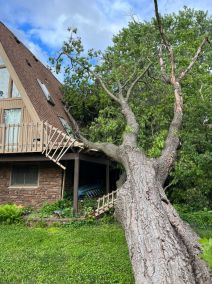 Storm Damage in Saint Paul, MN (1)